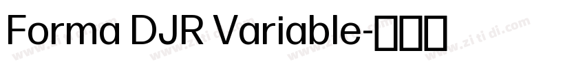 Forma DJR Variable字体转换